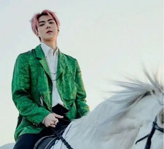 吴世勋骑白马的样子真的像极了白马王子爱了爱了