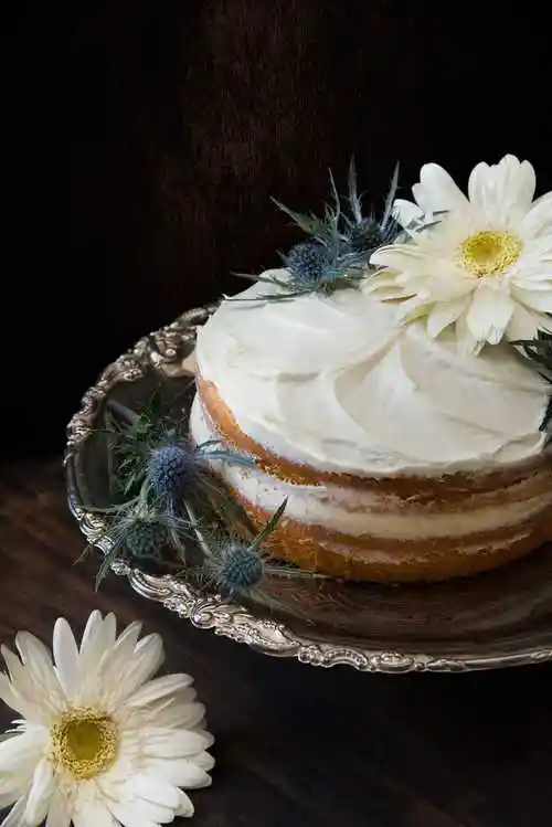 会员免费描述:西式奶油蛋糕图片,奶油,蛋糕,西式,奶油蛋糕,西式蛋糕