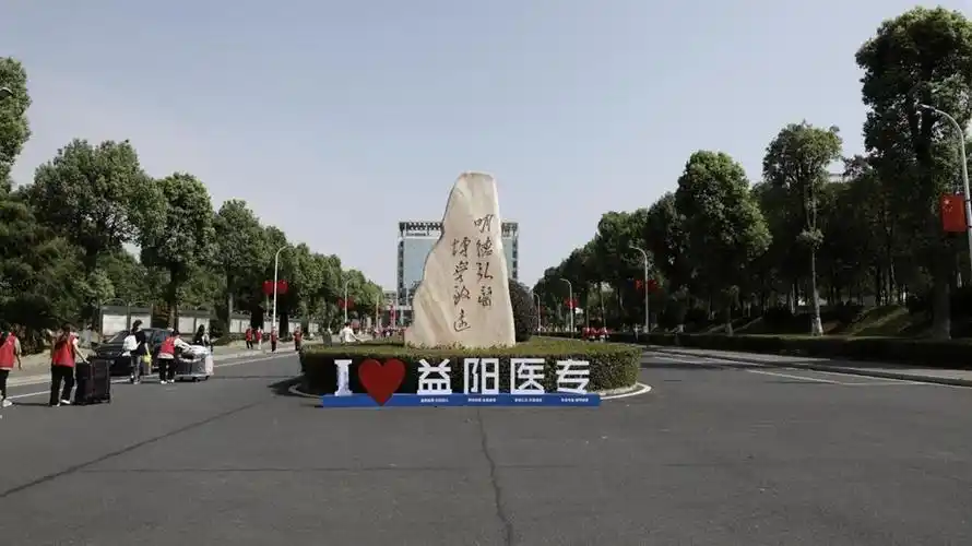 仪式感拉满益阳医专4000余新生报到入学