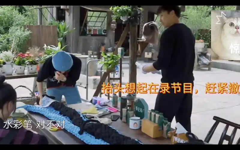 彭昱畅张子枫!避嫌时期兄妹的斗嘴日常