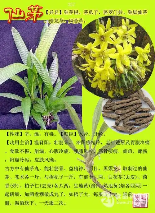 仙茅浓缩粉生产包邮