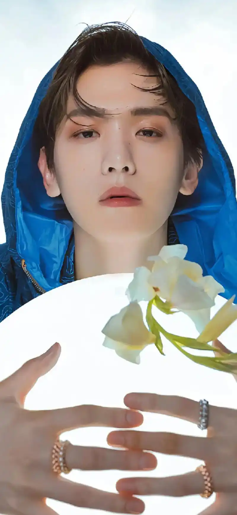 边伯贤 #exo #盛世美颜 #少年感 #禁欲系 就像鱼缸 - 抖音