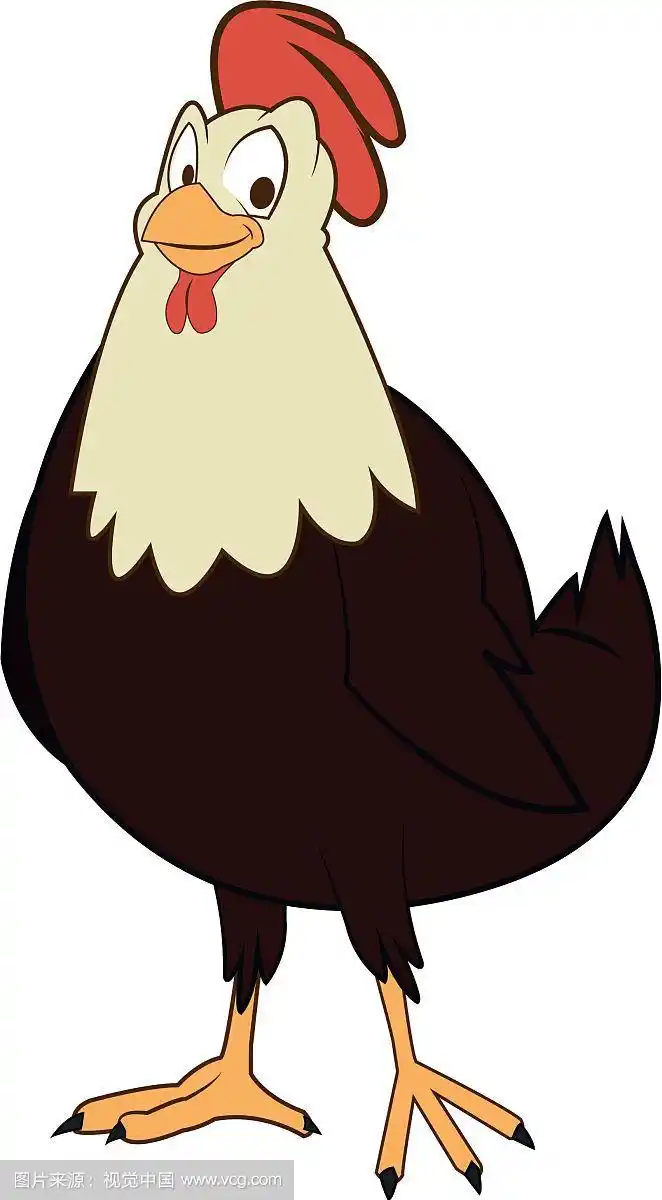 卡通母鸡家禽农场家畜