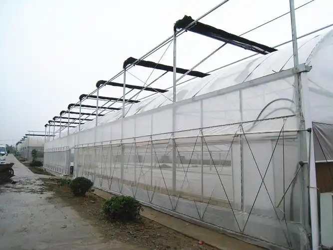 广西桂林市临桂县大棚钢管连栋大棚连体大棚钢架蔬菜简易大棚安装