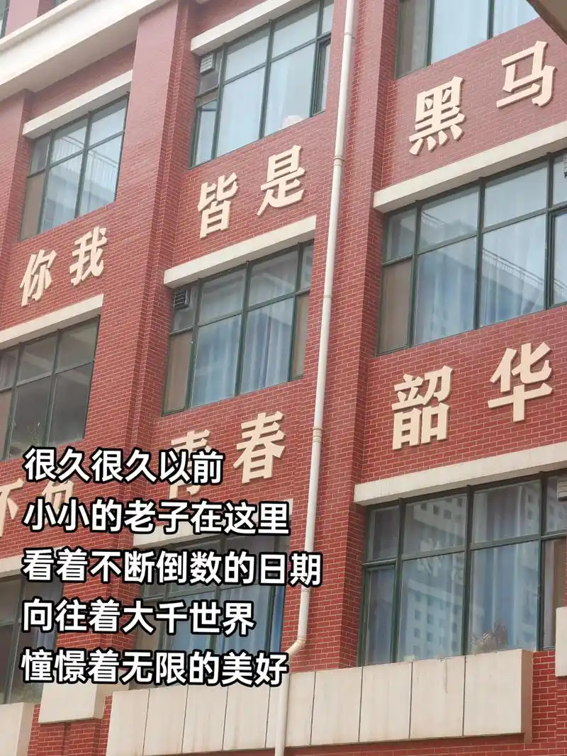 年少时,春风得意马蹄疾,不信人间有别离. #石家庄市第十五中