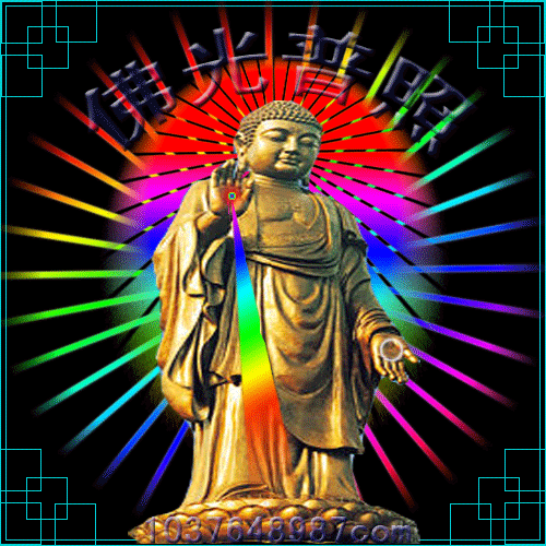 500_500gif 动态图 动图