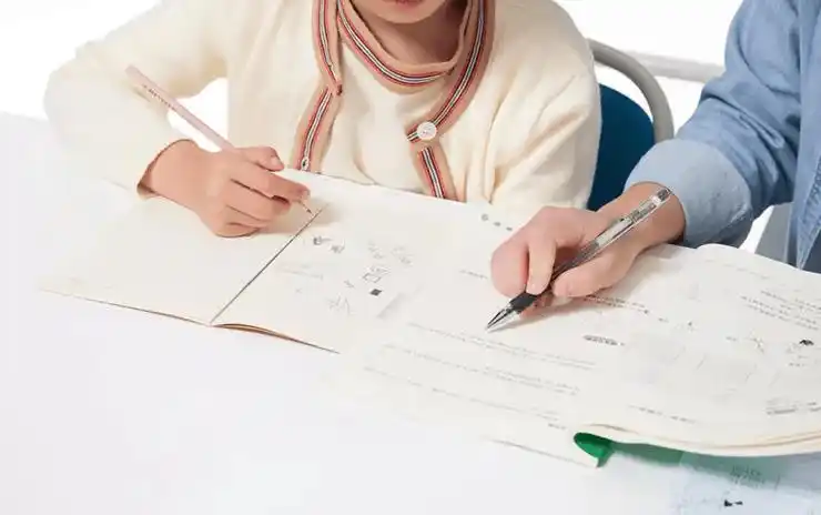 习课堂提升作业效度的尝试理解与实践反思新网师小学语