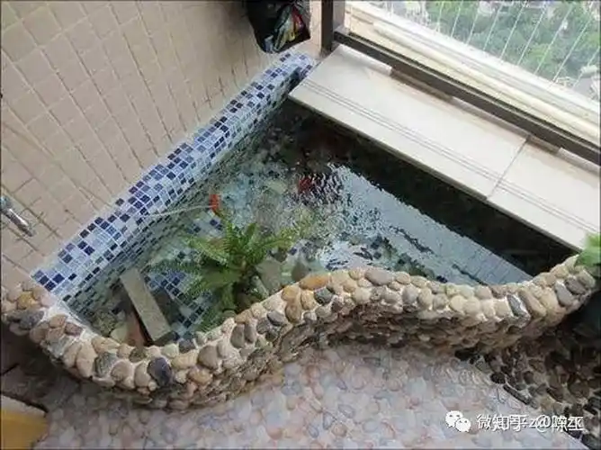 怎样在自家阳台上砌一个小鱼池