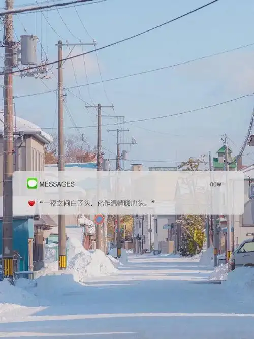 认真生活肆意绽放##日常文案##背景图##朋友圈文案##文案##今日文案