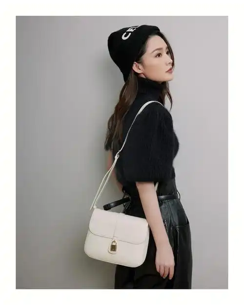 李沁全新celinetabou手袋