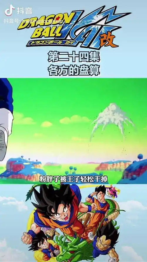 第二十四集究竟那方能够实现愿望呢龙珠充能计划