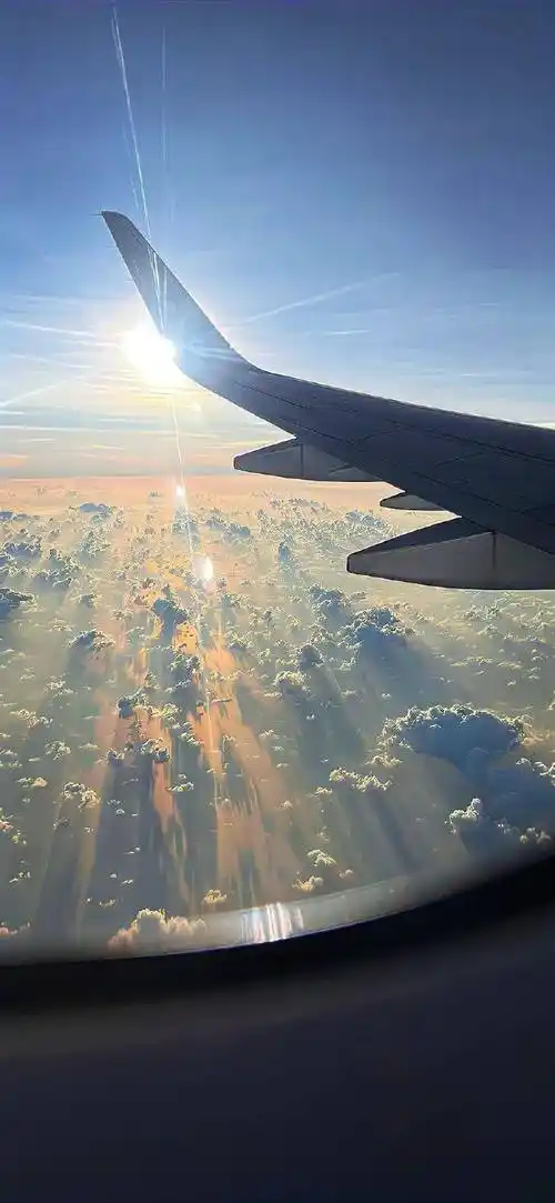 壁纸超宝藏的ins小众壁纸