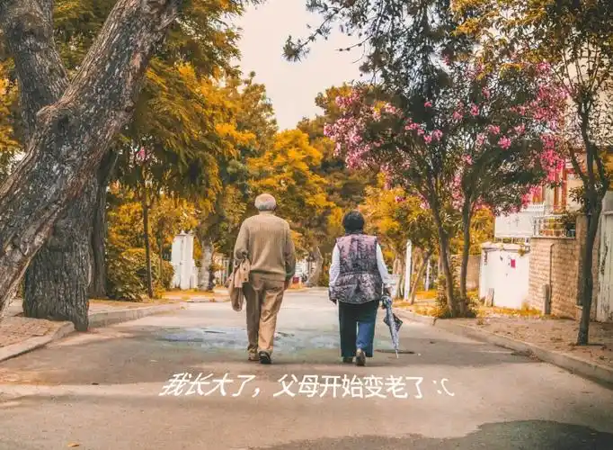 我长大了父母开始变老了