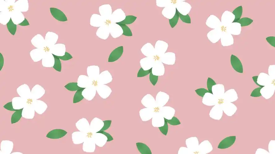 花唯美 简约卡哇伊2323*壁纸封面图清新花朵壁纸于2021-06-08上传