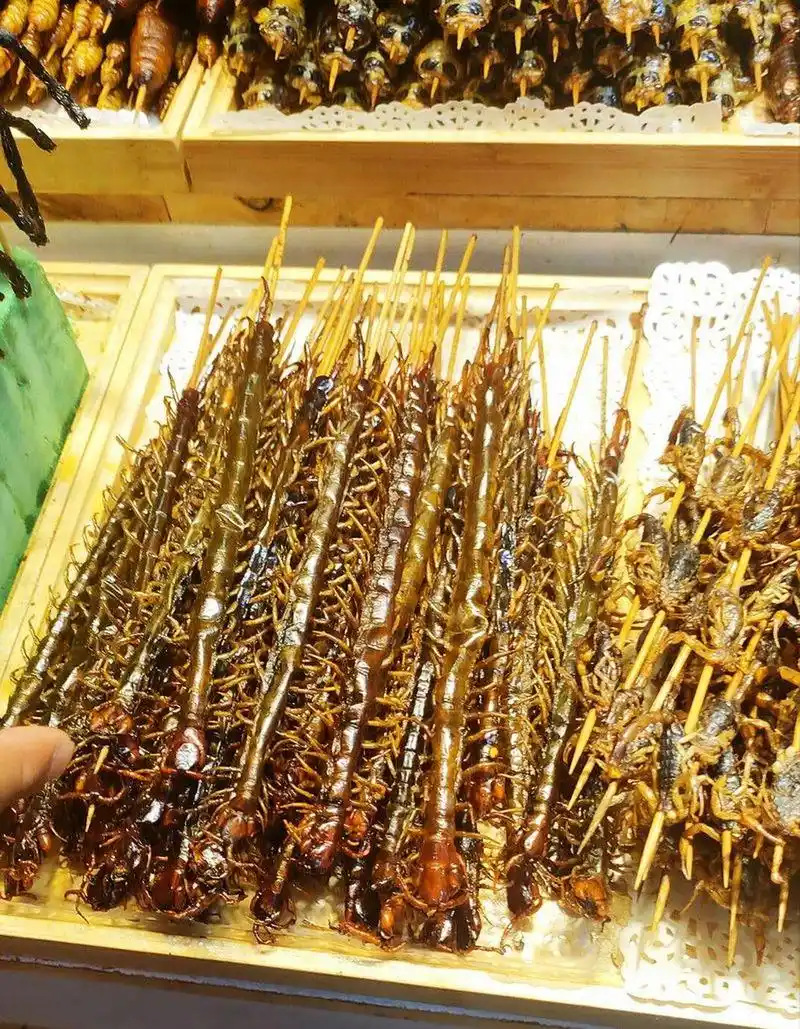 "烧烤摊上竟然有烤蜈蚣!"  ? "太吓人了,我都不敢吃!"  ?