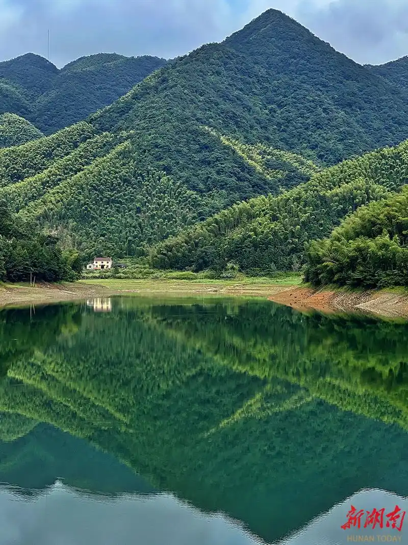青山绿水生态美