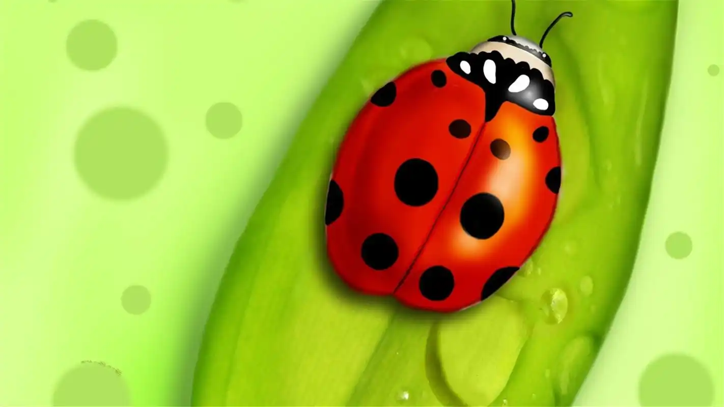 可爱昆虫图片高清绿色护眼电脑桌面壁纸宽屏下载3