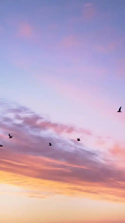 唯美意境图片风景暮与岛歌