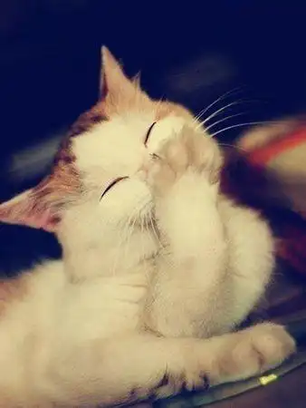 心情花园:请保持微笑锁住好运气(图)