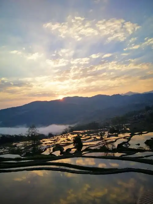 三游云南风景照~梯田