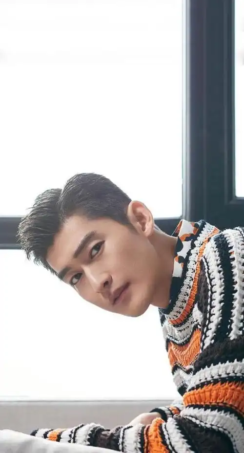 《流星雨》不仅掀起了偶像明星的风潮,还把当时鲜为人知的张翰推上了