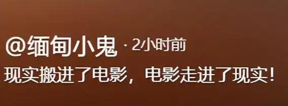 缅甸小鬼指甲被拔指纹消失,直播间频传女声惨叫,留文案传递信息