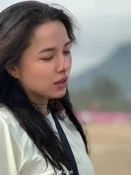 作为一位实力派女演员,李佳的每一次出场都像是精心雕琢的艺术品,让人