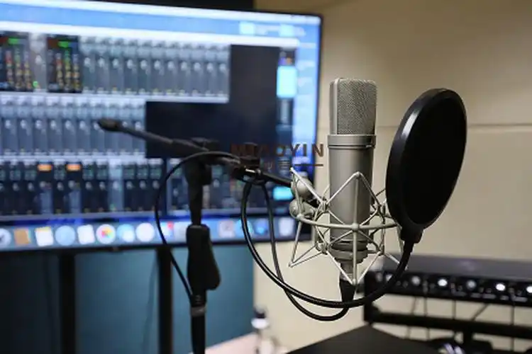 广告配音的内涵