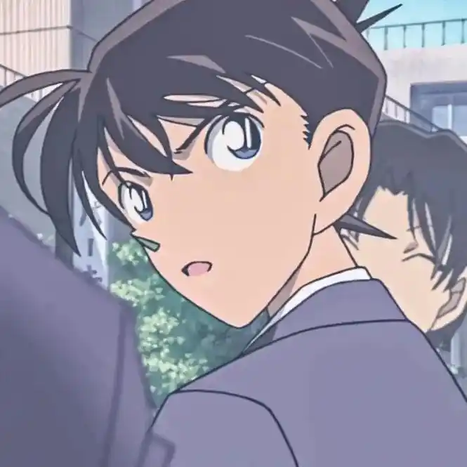 新兰cp #毛利兰 #工藤新一 #情侣头像 分享一些情侣头 - 抖音