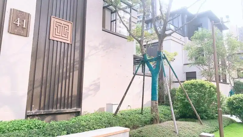 龙光江南院子(别墅)-南宁58同城