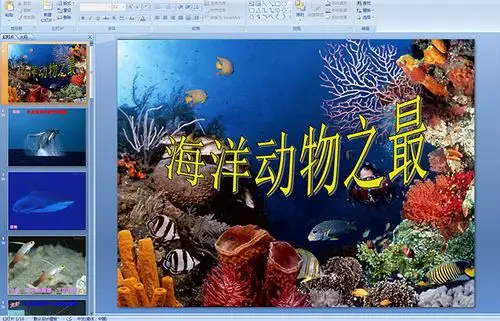 幼儿园中班科学《海洋动物之最》ppt课件