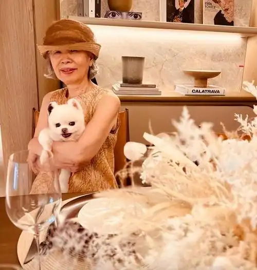 周杰伦妈妈叶惠美出镜抱着宠物狗甜笑一位打扮时髦的老人家