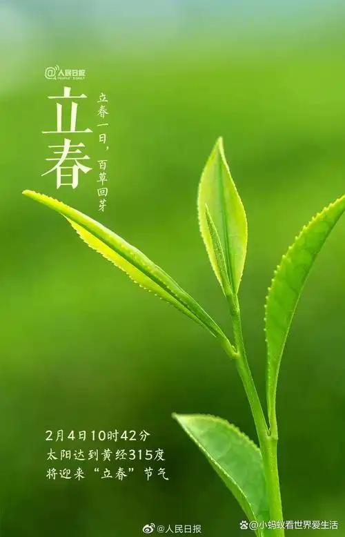 今日立春,你是躲春还是啃春?