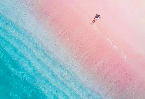 科莫多岛,「史前巨兽」与「粉色沙滩」08 photo by trevor murphy与