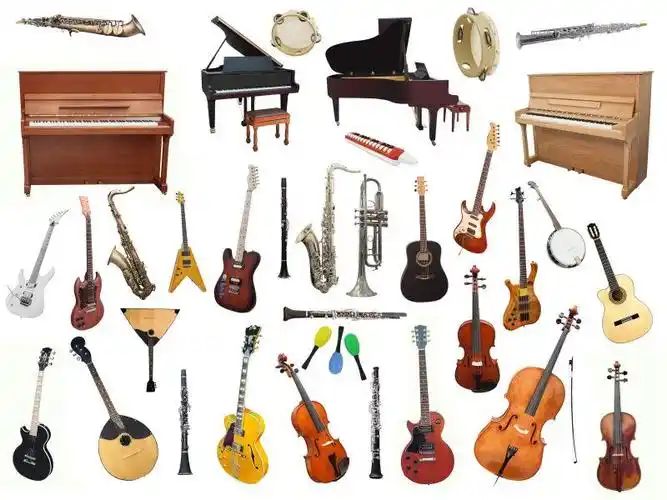 白底乐器收藏
