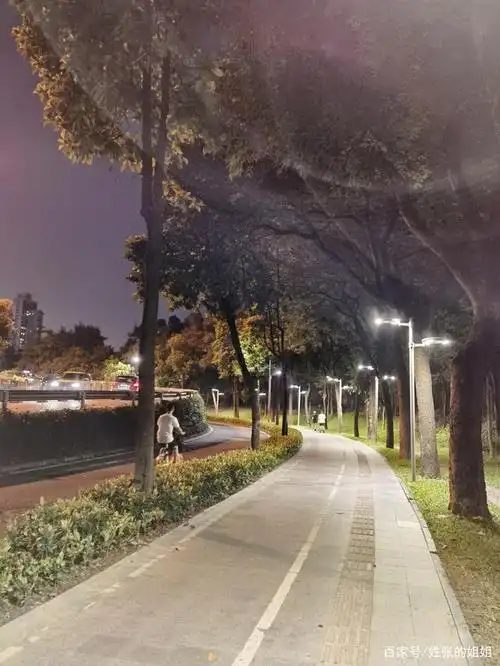 是否戴上眼镜,原来也是一种生活态度