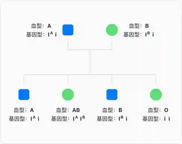 abo血型的遗传背景