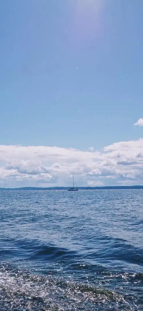 壁纸 风景 摄影 桌面 690_1493 竖版 竖屏 手机