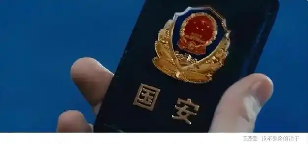 国安局酒店抓捕间谍,出示证件遭主管阻拦,评论区沦陷|保安|成蕾|消防