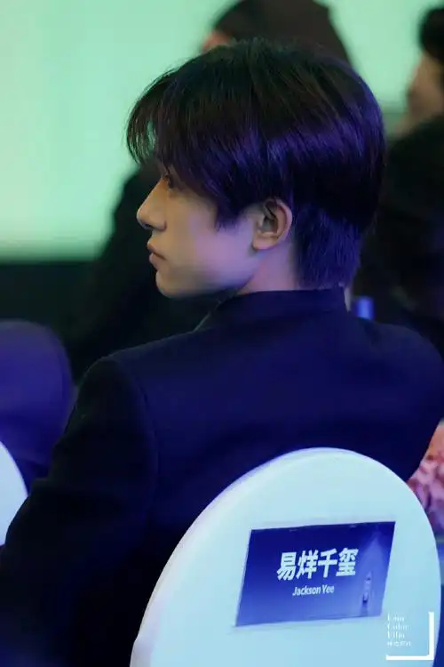 以为是易烊千玺的长头发