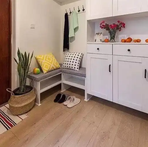 第5种就是两面墙的设计,一面放置鞋的储纳柜,另一面则是我们换鞋的