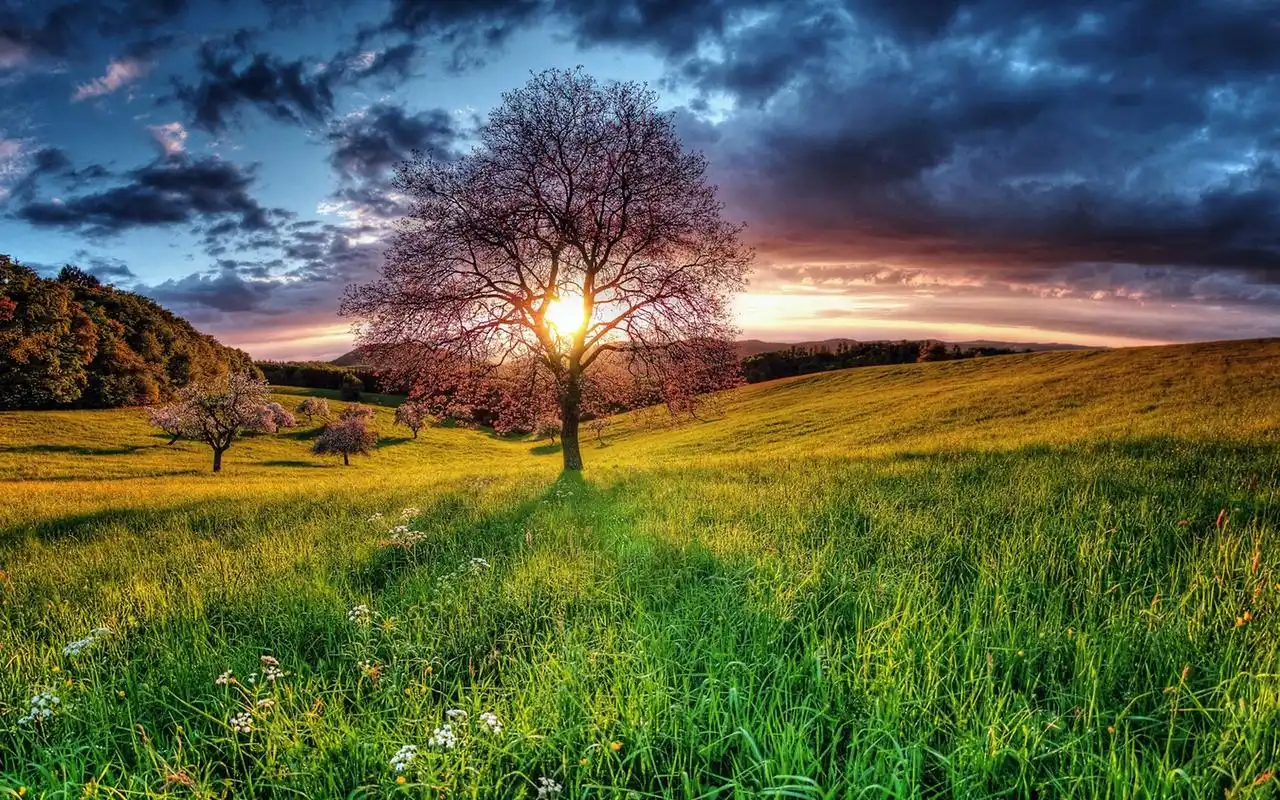落日夕阳唯美自然风光图片高清桌面壁纸