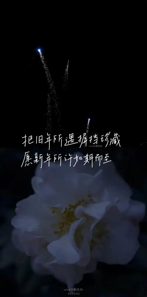 王俊凯语录与歌词壁纸