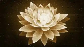 抽象莲花背景佛光莲花莲台金色3d旋转莲花视频素材