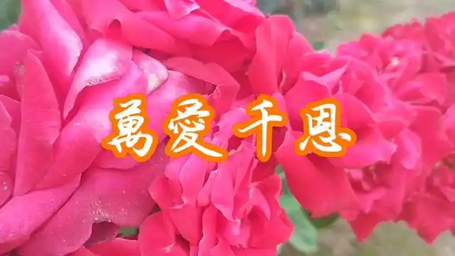 万爱千恩 王正鑫