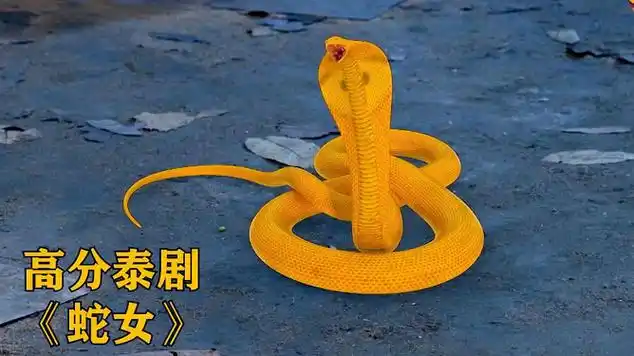 高分泰剧蛇女希瓦发现大山就是转世龙君