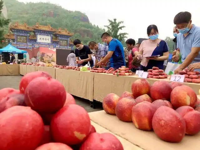 小镇蟠桃会 主打诚信牌