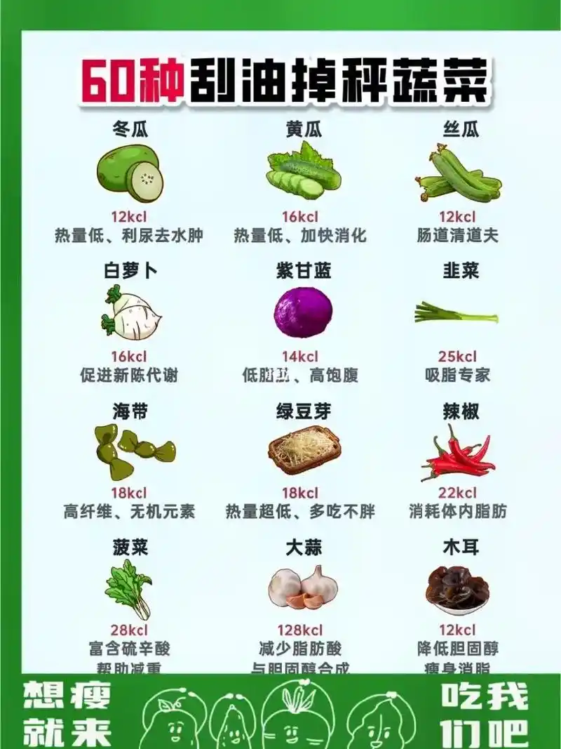 减肥蔬菜大集合啦.60种刮油掉秤蔬菜大力推荐芹菜,西兰花, - 抖音