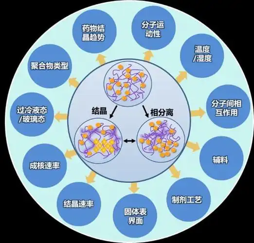 晶研谈原来固体分散体增溶是这么做的下