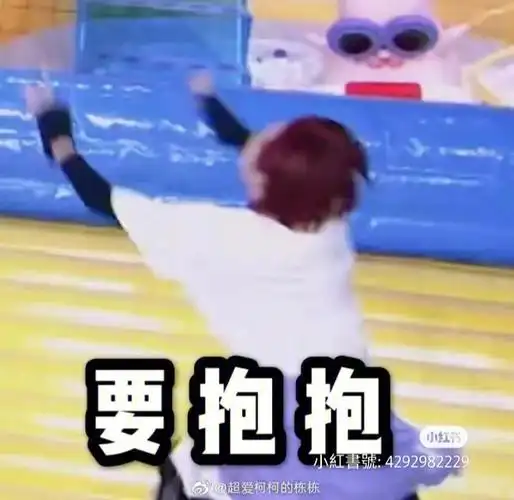 陆柯燃表情包合辑1